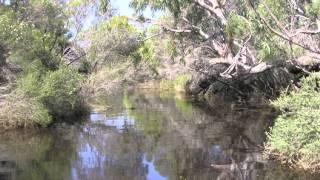 Estuaries of the Northern Agricultural Region, Western Australia