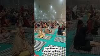 yoga bhawan in patanjali wellness haridwar