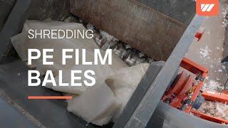 PE film shredding with a WEIMA WKS 1800 plastic shredder