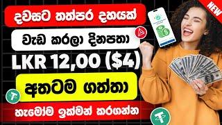 දවසට තප්පර දහයක් විතරයි | How To Earn E Money Sinhala | Online Business Sinhala | E Money Sinhala