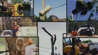 Pro Tree Removal Compilation | Go Tree Quotes