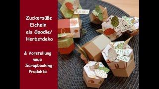 Zuckersüße Eicheln als Goodie oder Herbstdeko & neue Scrappbooking Produkte - Stampin' Up!®