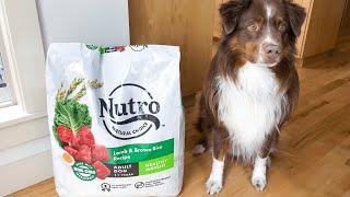 Nutro Natural Choice Adult Dry Dog Food: A Details Review [2023]