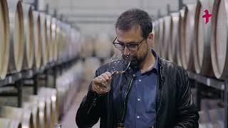 VÍDEO TAST - Vins blancs de la DO Montsant