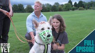 Muzzles that help rescue dogs find their forever home! | Rescue Vet with Dr Scott Miller