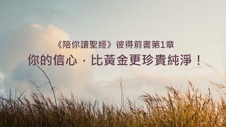 彼得前書1章/陪你讀聖經《你的信心，比黃金更珍貴純淨！》