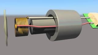 MUS 493 - Dynamic Microphone - Exploded View