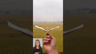 FLYING BIRD PAPER PLANE ️#shorts #shortsfeed #viral #shortvideo #youtubeshorts #trending