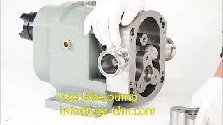 Ace lobe pump