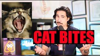 CAT BITES CAN BE DANGEROUS!  Doctor Explains #cat #catbite #cats