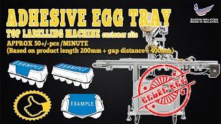 Egg Tray Labelling Machine | Top Labelling Machine | Solo Labeller Technology