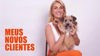 MEU LANÇAMENTO PARA PETS I ANA HICKMANN