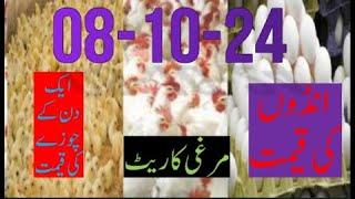 08-10-2024 broiler rate| Today egg rate |Today chicks price|Today poultry rate| today chicken rate