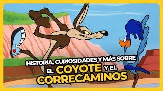 El COYOTE y el CORRECAMINOS | PERDÓN, CENTENNIALS