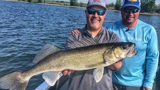 Butterfly Blade Walleye on Lake Sakakawea