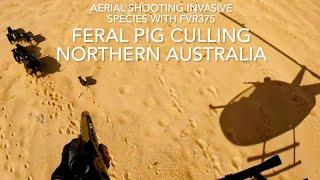 Feral pig aerial culling Northern Australia with FVR375