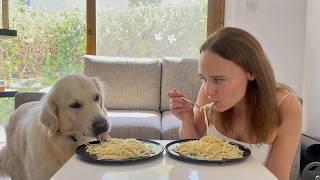 Spaghetti Eating Competition: Golden Retriever Dog vs. Owner