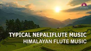 Typical Nepali Flute Music | Himalayan Flute Music | Nepali Folk Music | (बाँसुरी) Aparmita Ep. 156