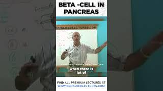 Beta Cell In Pancreas #drnajeeb #Pancreas  #shortvideo