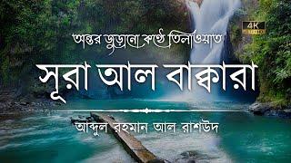 সূরা আল বাকারা এর অত্যন্ত দরদী কন্ঠে তিলাওয়াত┇Surah Al Baqarah Recited by Abdul Rahman Al Rashoud