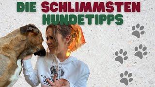 Die SCHLIMMSTEN Hundetipps