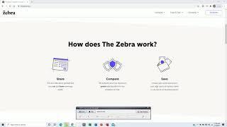 Zebra Insurance Review