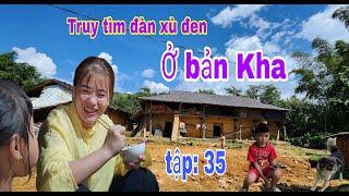 Tập 35 - Truy tìm đàn chó xù đen ở bản Kha | cùng bac ha tv đi tầm cẩu trên babr Mông | VD full 4k