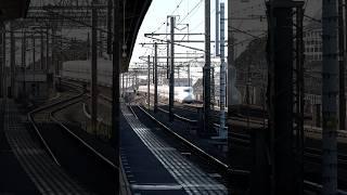 The Bullet Train Flyby #japan