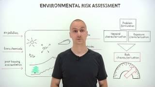 What is environmental risk assessment?