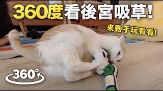 【黃阿瑪的後宮生活】用360度看後宮吸貓草！可自由旋轉角度！