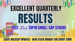 Top 10 small cap stocks that posted excellent quarterly results!