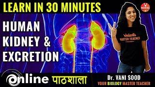 Biology |Learn Human Kidneys And Excretion Process In 30 Minutes| By Dr. Vani Sood