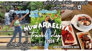 ලංකාවේ උසම ගම්මානයට යමු️#nuwaraeliya ලස්සනම තැන්12 #travelguide #viral #travel #trending #foryou