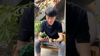 翡翠 珠宝 什么是干青翡翠！浓郁的翠色，却价值不高，什么原因呢？