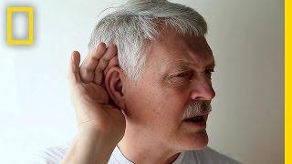 Take the High-Frequency Hearing Test | Brain Games