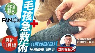 寵物急救—立即報名4小時寵物急救工作坊  學識心肺復蘇法 中毒催吐技巧＋傷口包紮  #動物蘋台－果籽 香港 Apple Daily—原刊日期：20201118