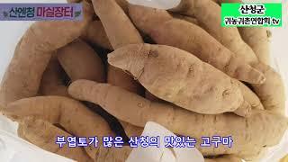 20210530 마실장터 행복밥상