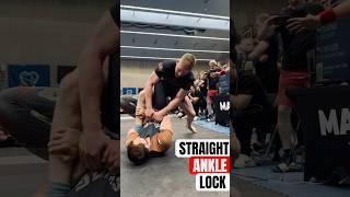 Straight Ankle Lock - submission️ #bjj #jiujitsu #submission #leglocks #grappling #win  #tatamybjj