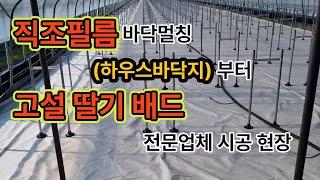 직조필름 바닥멀칭(하우스바닥지)부터 고설딸기배드 전문업체 시공 현장입니다