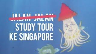 Singapore Study Tour Vlog