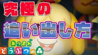 最速追い出し！選んでグッバイ！住民を徹底検証した結果amiboを使わずに住民厳選する方法を発見した！【あつまれどうぶつの森】【あつ森攻略】裏技　小ネタ