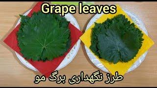 How to preserve and can grape leaves؟ #persian #persianfood #persiancooking #ashpaziirani