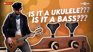 3 Reasons why you should try a Ukulele Bass! | Gear4music Guitars