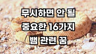 의미심장한 일을 암시하는 16가지 뱀 나오는 꿈 해몽