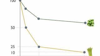 Budget Lines Indifference Curves Economics