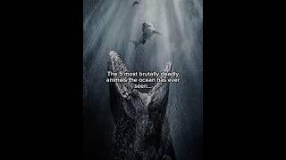 These beasts actually once lived in our ocean… #prehistoric #ocean #marinelife #megalodon