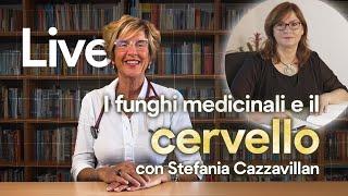 I funghi medicinali e ilo cervello