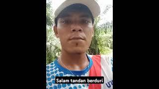 Langsir Sawit lagi kawan,areal gunung Leco