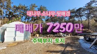 10205 전북 김제시 청하면 토지 매매 주택부지 청하중학교인근 소나무 대나무 배경 대지290p 매매가7250만