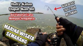 2 Tahun Ga Kesini Sejak Pandemi Dapat ikan Aneh